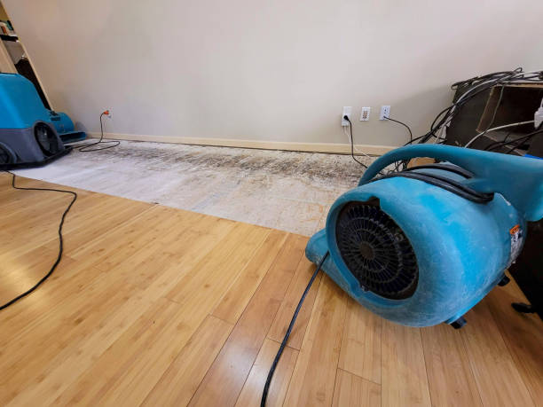 Professional Water Removal technician working in Commerce Township, MI